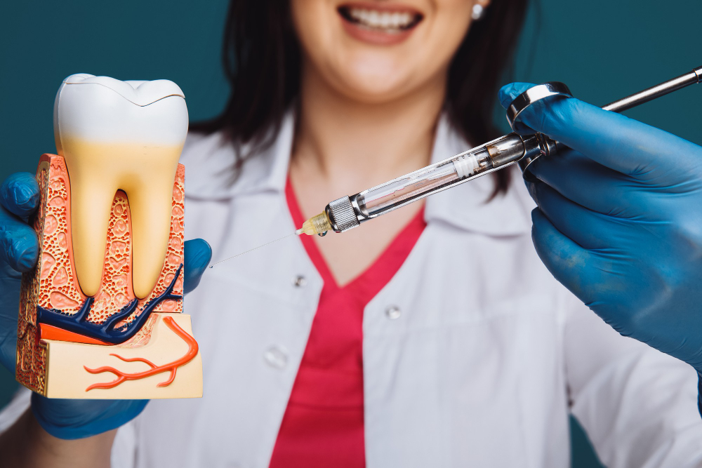 רופאה מציגה את מבנה השן